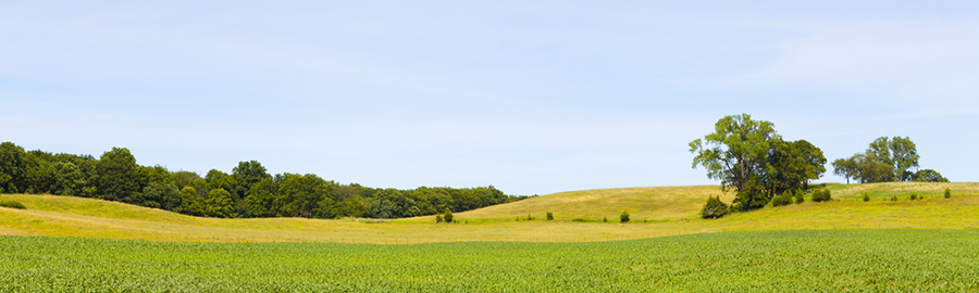 Iowa - Rolling Hillside